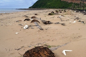 Vụ phá rừng phòng hộ làm khu du lịch: Phát hiện thêm sai phạm