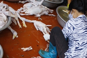 Vẽ đường cho thực phẩm “bẩn”?