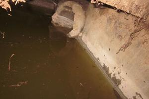 Nghi vấn doanh nghiệp Trung Quốc xả chất độc hại ra môi trường