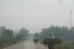 Con đường gà lậu: Gian nan theo  dấu chân gà lậu