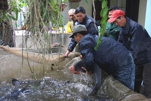 Chuyện khó tin: từ đại ca giang hồ thành “ông bốn chức danh”