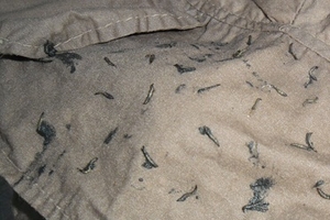 Bộ quần áo có sinh vật lạ… xuất xứ từ Trung Quốc