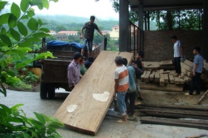 Tuyên Quang: “Đại công trường” của lâm tặc