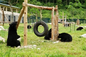 Kiểm điểm Giám đốc Vườn quốc gia Tam Đảo