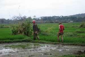 Săn lươn“khủng” trên cao nguyên Ban Mê
