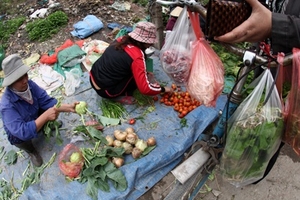 Gia đình ngày càng chịu nhiều cú sốc!