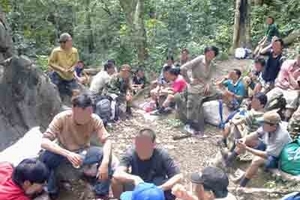 Nghi án hạt phó lấy gỗ sưa của lâm tặc?