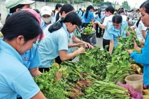 Nỗi lòng những người không muốn có Tết