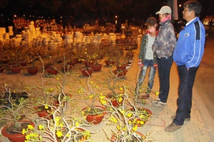 Chợ hoa ở xứ hoa Đà Lạt vắng khách