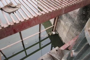 Rùng mình nuôi cá bằng nước thải