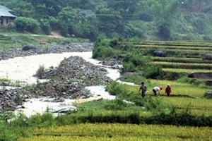 Kì tích trên “cánh đồng ma”: Hồi sinh vùng đất dữ