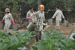 Công an kể chuyện trực Tết nơi trại giam