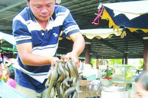 Những chuyện bi hài ở chợ rắn độc đáo nhất miền Tây