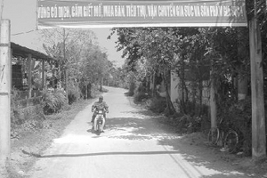 Dịch bệnh gia súc bùng phát tại nhiều tỉnh