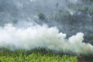 Trắng đêm dập lửa cháy rừng Bắc Biển Hồ