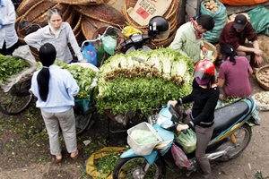 Rau xanh hạ nhiệt