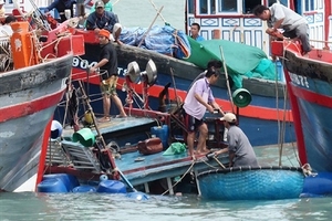 Tàu chìm tại cảng, nước lạnh lưng mới biết