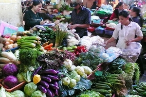 Kinh hoàng rau xanh trồng trong …nghĩa địa!