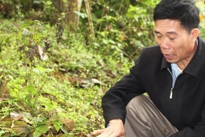 Huyền tích về hội thề Lũng Nhai : Ngôi miếu thần“giáng phạt”