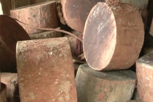 Lâm tặc rải đinh ngăn cản kiểm lâm tịch thu gỗ