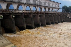 Nhiễm mặn lấn sâu vào đất liền Đà Nẵng