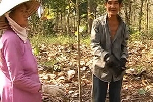 Đồng Nai : Điều tra vụ rừng giá tỵ bị tàn phá