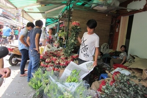 Hoa thật, hoa dát vàng đua bán giá trên trời