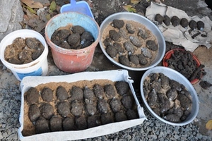 Đào móng nhà, phát hiện 85 quả lựu đạn