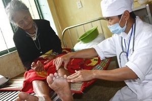 Gạo mốc chính là “thủ phạm” gây bệnh lạ ở Quảng Ngãi