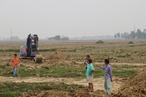 Sóc Sơn: Ruộng bỏ không, nông dân “treo nồi”