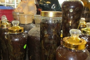 Hà Nội: Trồng cây thuốc phiện để... ngâm rượu