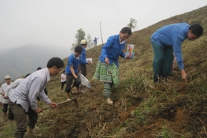 Nương ngô xóa đói, con đường thanh niên