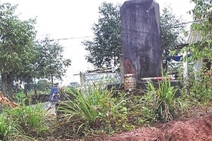 Bia cổ lăng vua 'kêu cứu'