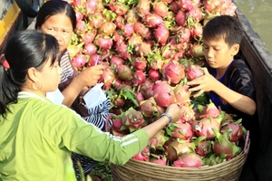 Giá trái cây tăng kỷ lục