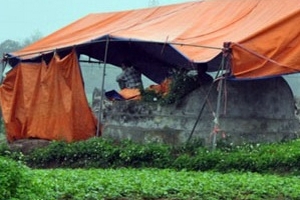 UBND thành phố Phủ Lý lên tiếng về vụ đào trộm mộ