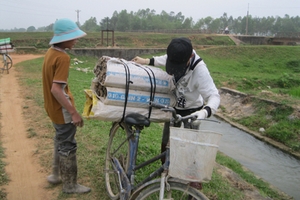 Lươn Yên Thành xuất ngoại