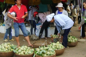 Rau, thịt vẫn mất an toàn