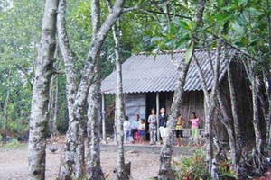 Muôn mặt nghề đẻ thuê: Nước mắt của cô gái đẻ thuê