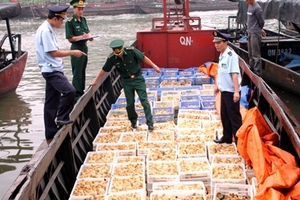 Gà lậu vẫn “vượt biên”