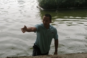 Hy hữu: Nam thanh niên bơi cùng rùa Hồ Gươm