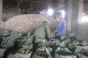 Nhà máy dầu thực vật gây ô nhiễm