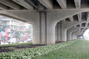 Gầm cầu sẽ trồng cỏ, lát gạch