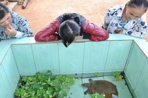 Náo loạn thị trấn vì tin đồn “ba ba thần”