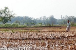 Người dân "tẩy chay" thịt gia cầm!