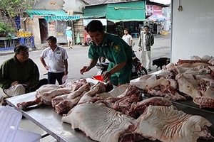 Hà Nội thờ ơ với dịch lợn tai xanh?