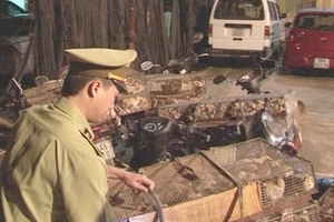 H7N9 cận kề, quốc tế hứa vào cuộc khi có dịch