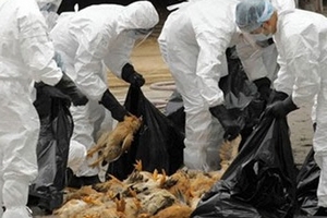 Việt Nam chủ động đối phó với dịch bệnh