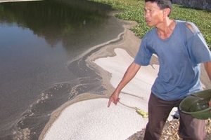 Nghệ An: Trại lợn hành hạ người dân