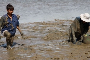 Săn cua cạnh phố nhà giàu