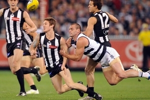 Thể thao Australia đang rúng động vì chất gây nghiện